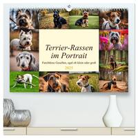 Vorderes Coverbild Terrier-Rassen im Portrait (hochwertiger Premium Wandkalender 2025 DIN A2 quer), Kunstdruck in Hochglanz