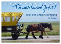 Vorderes Coverbild Töwerland Juist (Tischkalender 2025 DIN A5 quer), CALVENDO Monatskalender