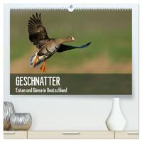 Vorderes Coverbild Geschnatter - Enten und Gänse in Deutschland (hochwertiger Premium Wandkalender 2025 DIN A2 quer), Kunstdruck in Hochglanz