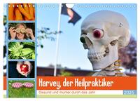 Vorderes Coverbild Harvey, der Heilpraktiker (Wandkalender 2025 DIN A4 quer), CALVENDO Monatskalender