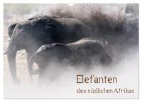 Vorderes Coverbild Elefanten des südlichen Afrikas (Wandkalender 2025 DIN A3 quer), CALVENDO Monatskalender
