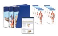 Vorderes Coverbild PROMETHEUS LernPaket Anatomie