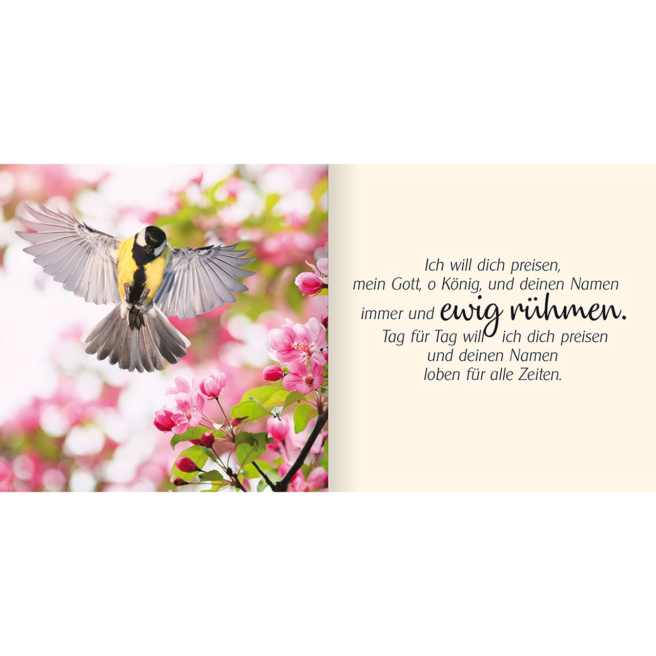 Beispielinhalt (Bild) Ich schenke dir Psalm 145