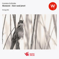 Vorderes Coverbild Moment – hier und jetzt!