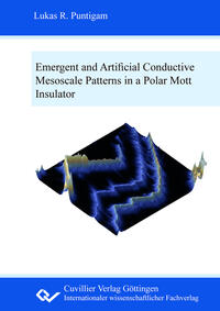 Vorderes Coverbild Emergent and artificial conductive mesoscale patterns in a polar Mott insulator
