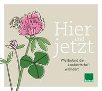 Vorderes Coverbild Hier und Jetzt