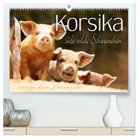 Vorderes Coverbild Korsika - süße, wilde Schweinchen (hochwertiger Premium Wandkalender 2025 DIN A2 quer), Kunstdruck in Hochglanz