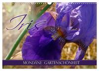 Vorderes Coverbild Iris - mondäne Gartenschönheit (Wandkalender 2025 DIN A3 quer), CALVENDO Monatskalender