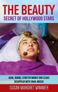 Vorderes Coverbild The Beauty - Secret of Hollywood Stars