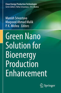 Vorderes Coverbild Green Nano Solution for Bioenergy Production Enhancement