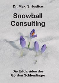 Vorderes Coverbild Snowball Consulting