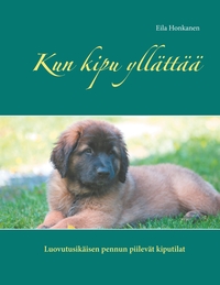 Vorderes Coverbild Kun kipu yllättää