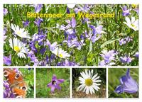 Vorderes Coverbild Blütenmeer am Wegesrand (Wandkalender 2025 DIN A4 quer), CALVENDO Monatskalender