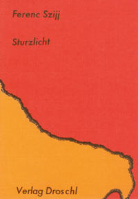 Vorderes Coverbild Sturzlicht