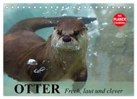 Vorderes Coverbild Otter. Frech, laut und clever (Tischkalender 2026 DIN A5 quer), CALVENDO Monatskalender