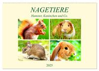 Vorderes Coverbild Nagetiere. Hamster, Kaninchen und Co. (Wandkalender 2025 DIN A2 quer), CALVENDO Monatskalender