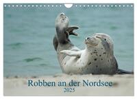 Vorderes Coverbild Robben an der Nordsee (Wandkalender 2025 DIN A4 quer), CALVENDO Monatskalender