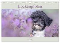 Vorderes Coverbild Lockenpfoten 2025 (Wandkalender 2025 DIN A4 quer), CALVENDO Monatskalender