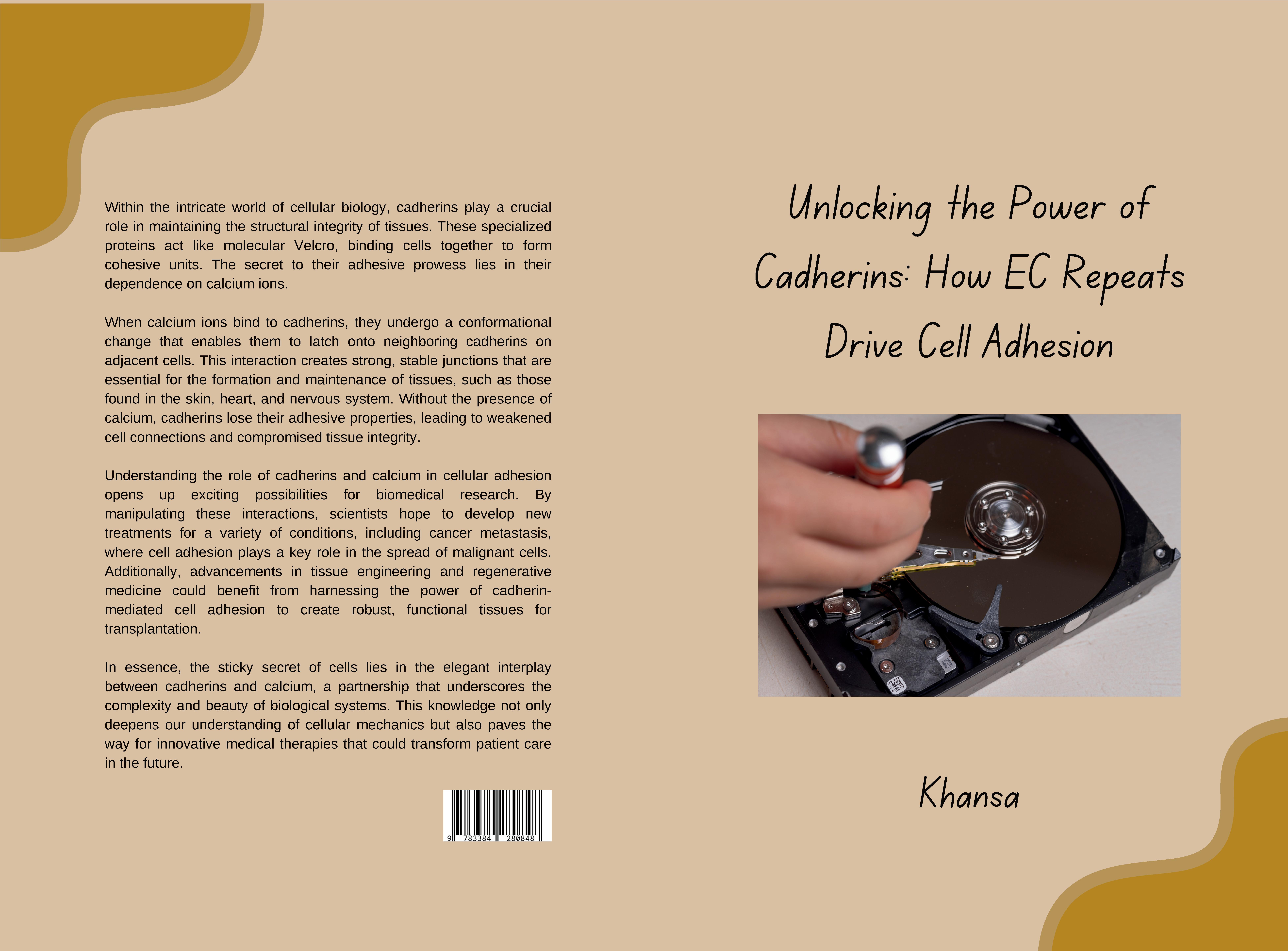 Gesamtes Coverbild Unlocking the Power of Cadherins: How EC Repeats Drive Cell Adhesion