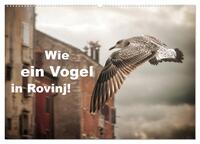 Vorderes Coverbild Wie ein Vogel in Rovinj! (Wandkalender 2025 DIN A2 quer), CALVENDO Monatskalender