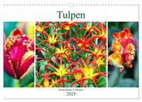 Vorderes Coverbild Tulpen - kunterbunte Collagen (Wandkalender 2025 DIN A3 quer), CALVENDO Monatskalender