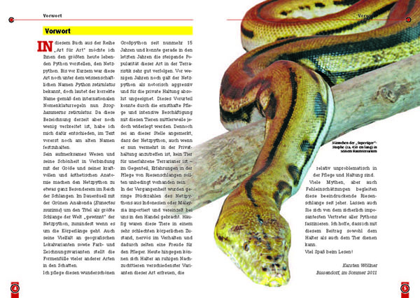 Beispielinhalt (Bild) Der Netzpython