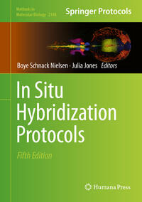 Vorderes Coverbild In Situ Hybridization Protocols