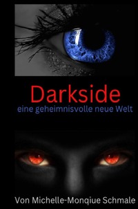 Vorderes Coverbild Darkside