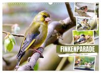 Vorderes Coverbild Finkenparade (Wandkalender 2025 DIN A3 quer), CALVENDO Monatskalender