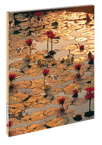 Vorderes Coverbild Lotus Pond
