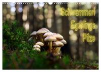 Vorderes Coverbild Schwammerl Egerlinge Pilze (Wandkalender 2025 DIN A3 quer), CALVENDO Monatskalender