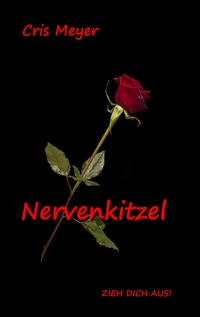 Vorderes Coverbild Nervenkitzel