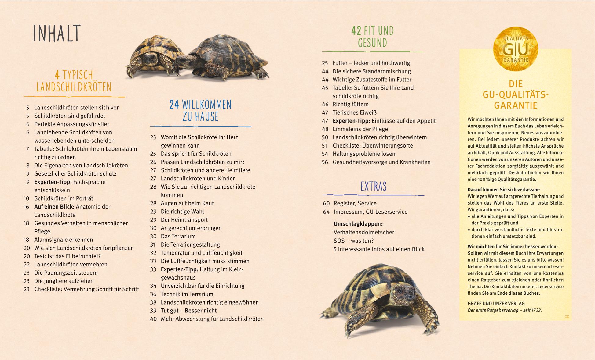 Beispielinhalt (Bild) Landschildkröten