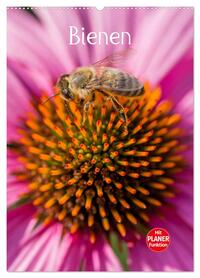 Vorderes Coverbild Bienenplaner (Wandkalender 2026 DIN A2 hoch), CALVENDO Monatskalender