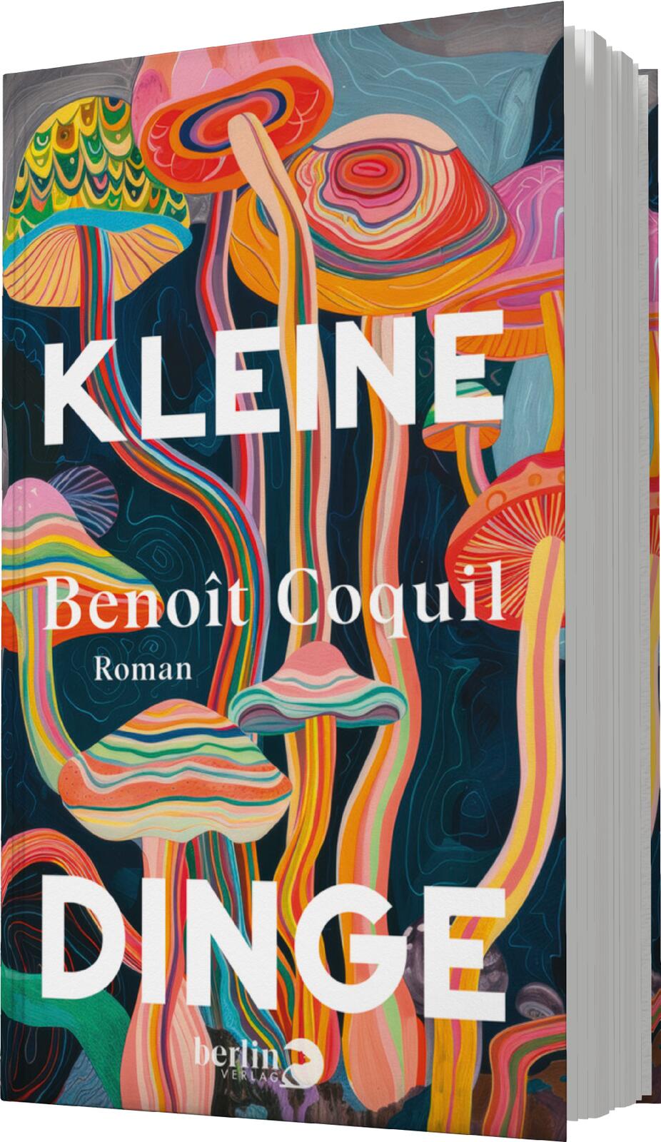 Anderes Coverbild Kleine Dinge