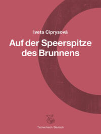 Vorderes Coverbild Auf der Speerspitze des Brunnens