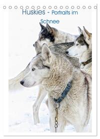 Vorderes Coverbild Huskies - Portraits im Schnee (Tischkalender 2025 DIN A5 hoch), CALVENDO Monatskalender