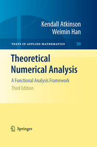 Vorderes Coverbild Theoretical Numerical Analysis