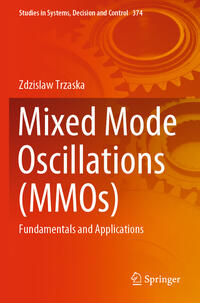 Vorderes Coverbild Mixed Mode Oscillations (MMOs)