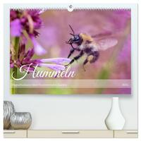 Vorderes Coverbild Hummeln - Flugaufnahmen eines faszinierenden Insekts (hochwertiger Premium Wandkalender 2025 DIN A2 quer), Kunstdruck in Hochglanz