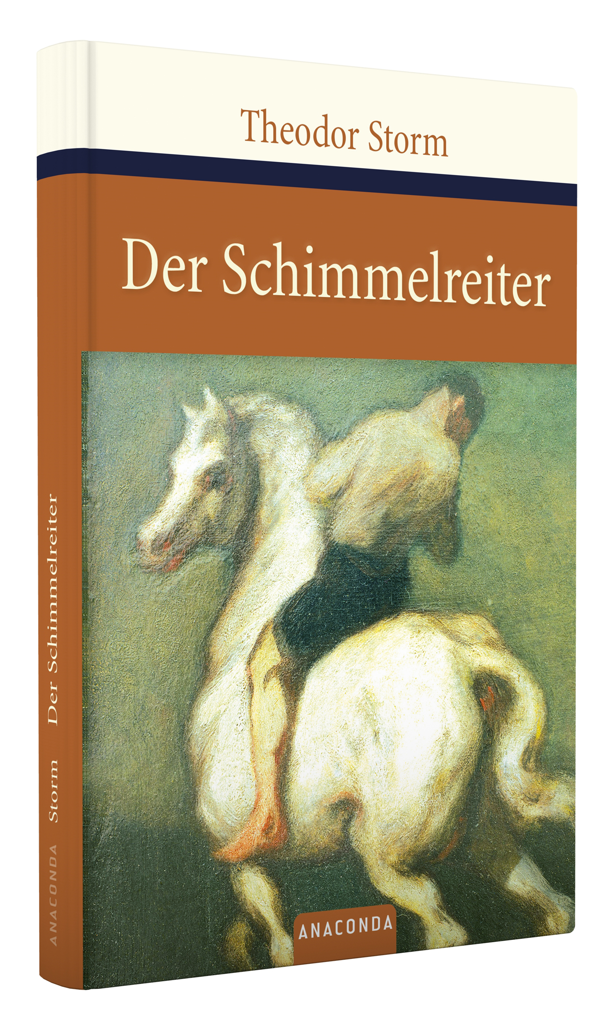 Beispielinhalt (Bild) Der Schimmelreiter