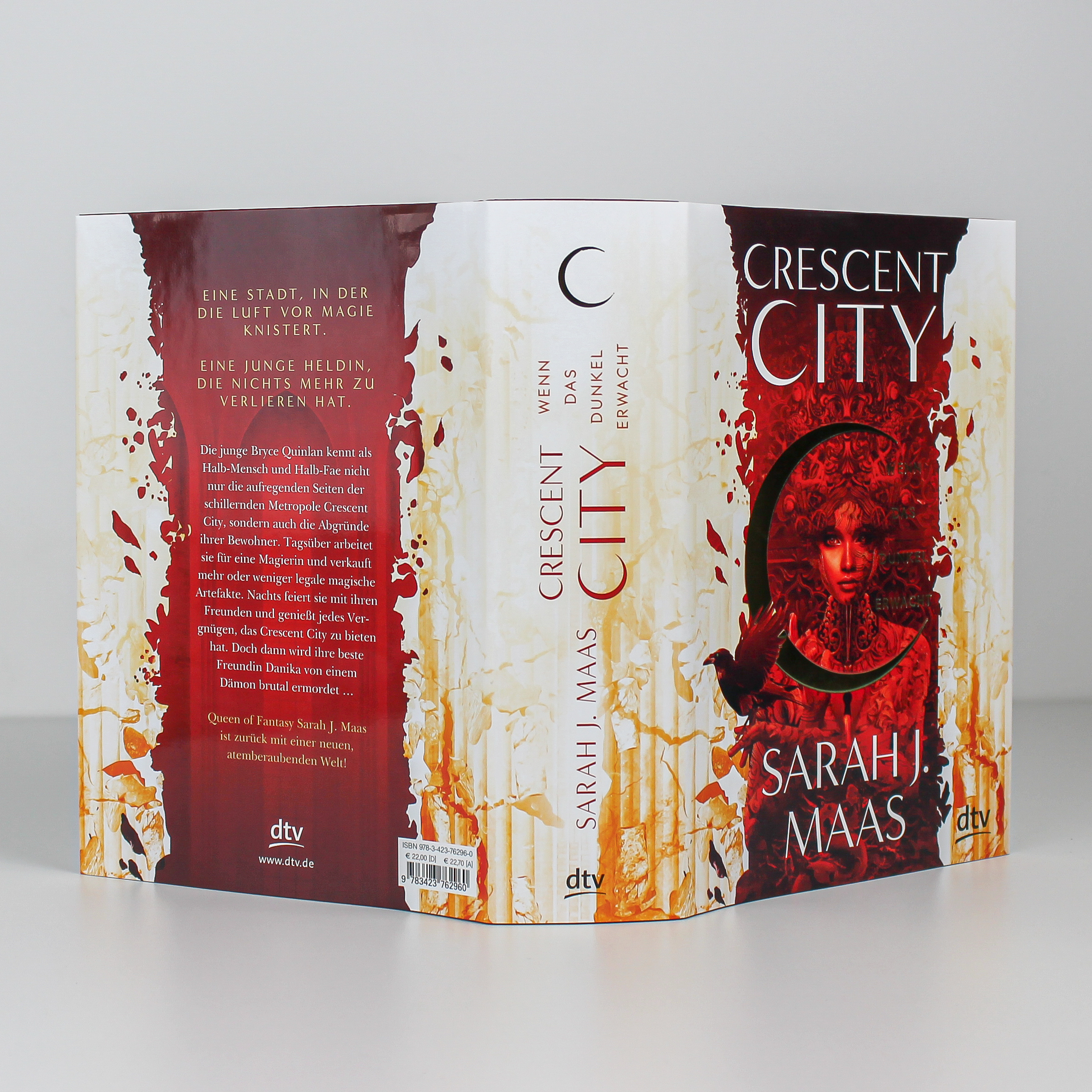 Beispielinhalt (Bild) Crescent City – Wenn das Dunkel erwacht