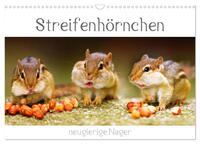 Vorderes Coverbild Streifenhörnchen - neugierige Nager (Wandkalender 2025 DIN A3 quer), CALVENDO Monatskalender