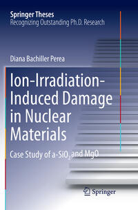 Vorderes Coverbild Ion-Irradiation-Induced Damage in Nuclear Materials