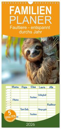 Vorderes Coverbild Familienplaner 2026 - Faultiere - entspannt durchs Jahr mit 5 Spalten (Wandkalender, 21 x 45 cm) CALVENDO