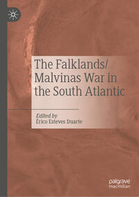 Vorderes Coverbild The Falklands/Malvinas War in the South Atlantic