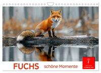 Vorderes Coverbild Fuchs - schöne Momente (Wandkalender 2025 DIN A4 quer), CALVENDO Monatskalender