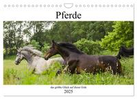 Vorderes Coverbild Pferde, das größte Glück auf dieser Erde (Wandkalender 2025 DIN A4 quer), CALVENDO Monatskalender