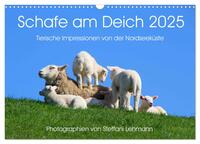 Vorderes Coverbild Schafe am Deich 2025. Tierische Impressionen von der Nordseeküste (Wandkalender 2025 DIN A3 quer), CALVENDO Monatskalender
