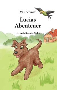 Vorderes Coverbild Lucias Abenteuer